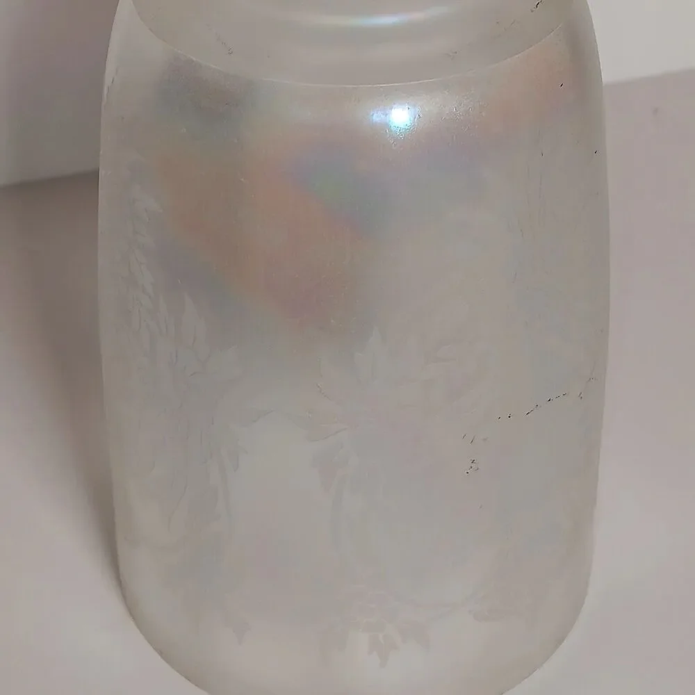 Vintage Glass Lamp Shade Frosted Iridescence Etched Victorian 5.5